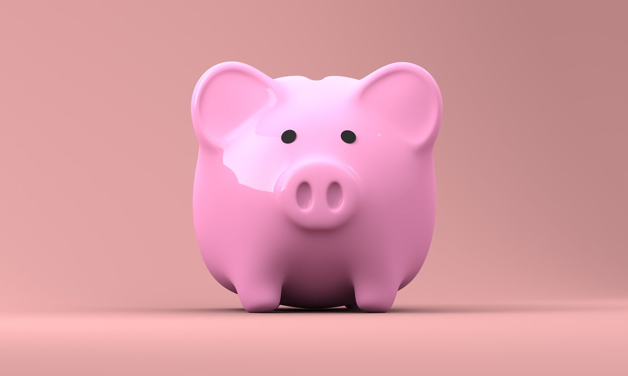 Save Act piggy bank, money, finance, banking, currency, cash, pig, investment, wealth, savings, financial, save, economy, deposit, pink, accounting, retirement, invest, income, loan, investing, rich, profit, fund, piggy bank, money, money, money, money, money