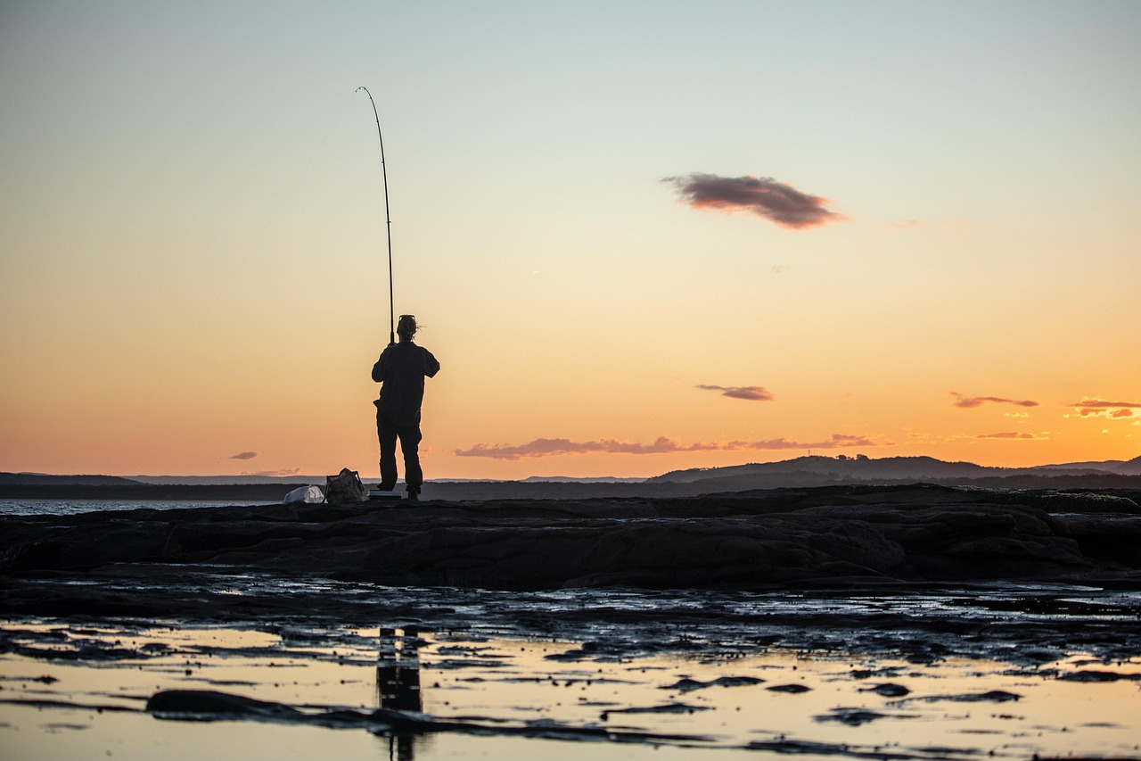 angler fish, fishing, sunset, reflection, fisherman, nature, sky, water, angler, outdoors, coast, fishing, fisherman, angler, angler, angler, angler, angler