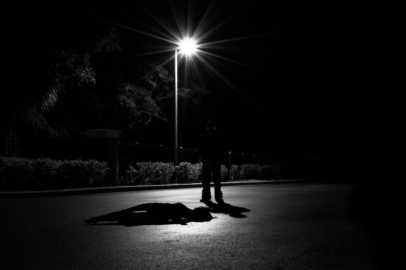 The Fox Hollow Murders