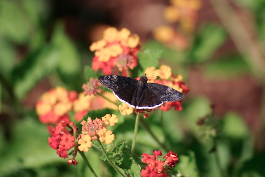 Decoding Quora'S Algorithm And Ranking System 6 If You'Re Interested In Learning More About The Quora Algorithm And Ranking System, You May Want To Check Out This Article On Boogger.