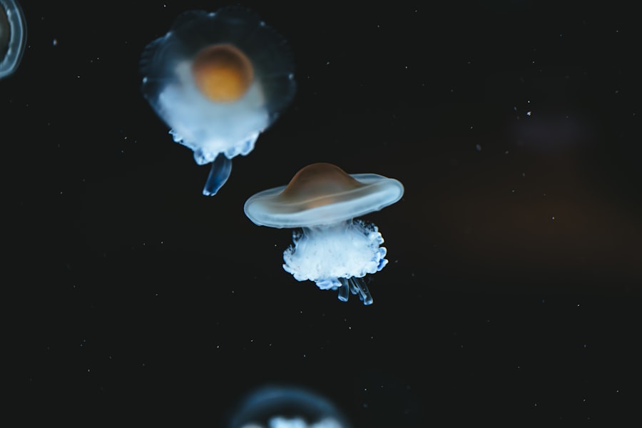 Alien spacecraft