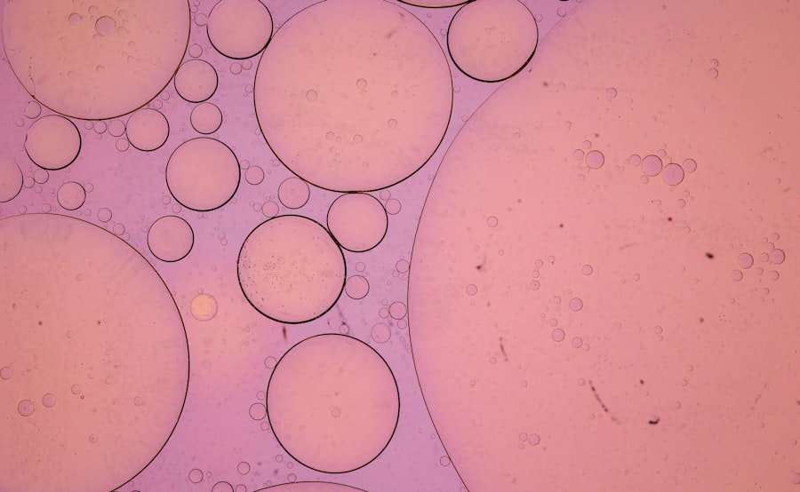 Cell proliferation