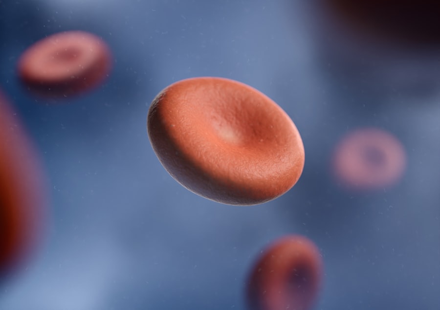 Blood cells