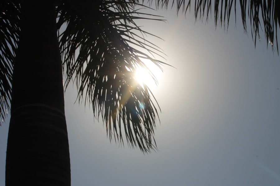 Sunscreen application