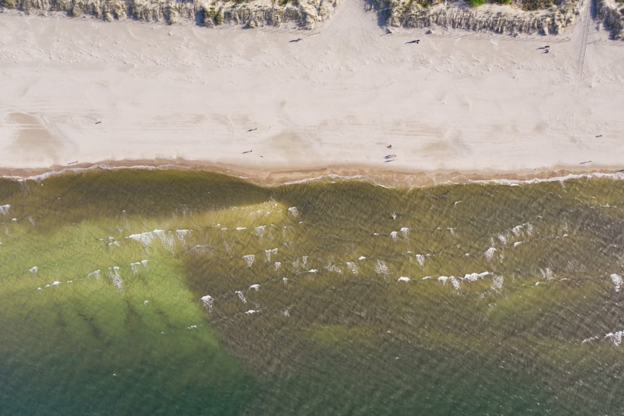 Sandy shore