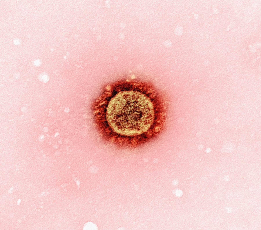 Cervical smear