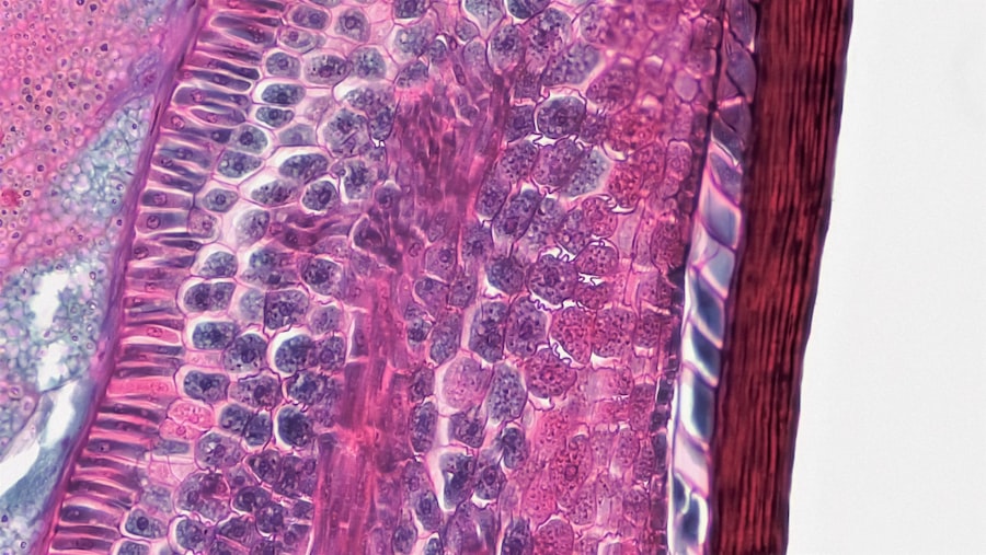 Skin biopsy