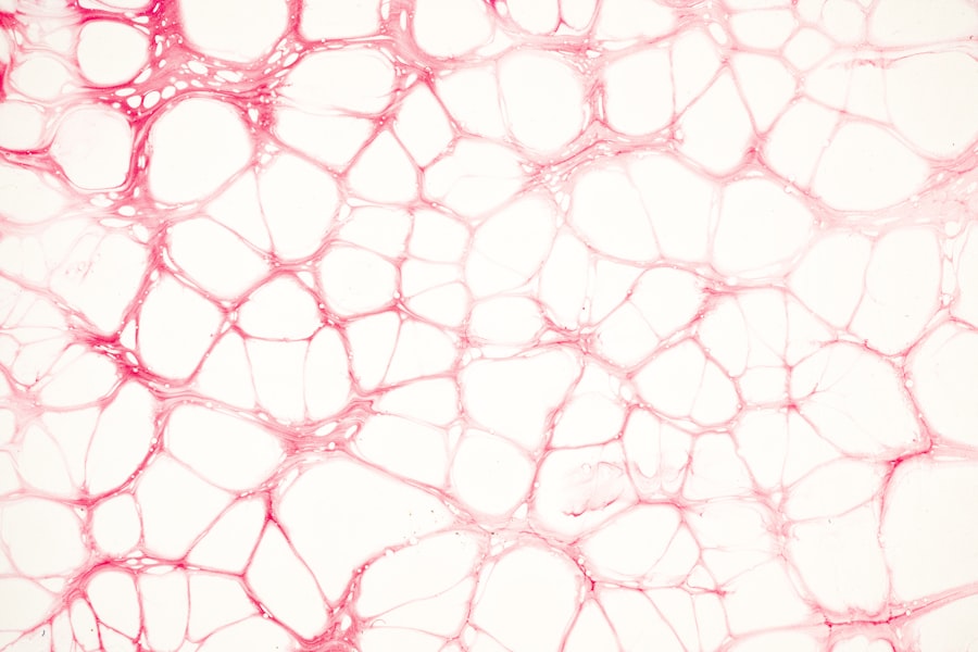 Blood cells