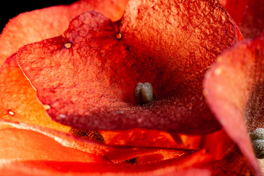 Prostate cancer