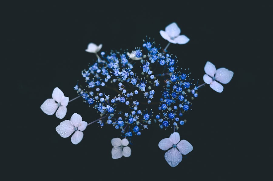 Immunotherapy drug