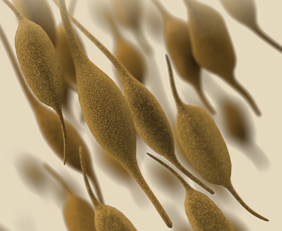 Medical illustration