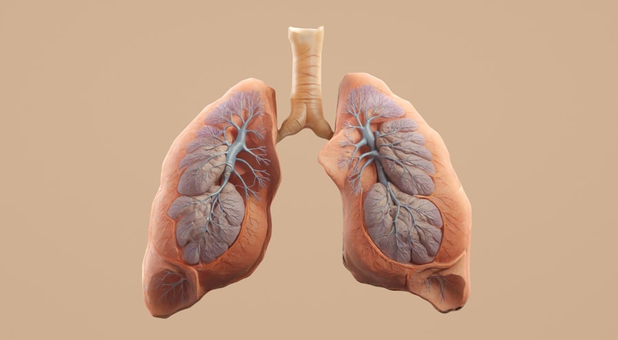 Medical illustration