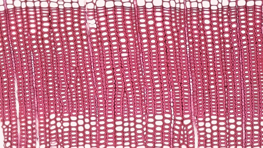 Microscopic view