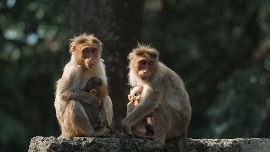 Family protection