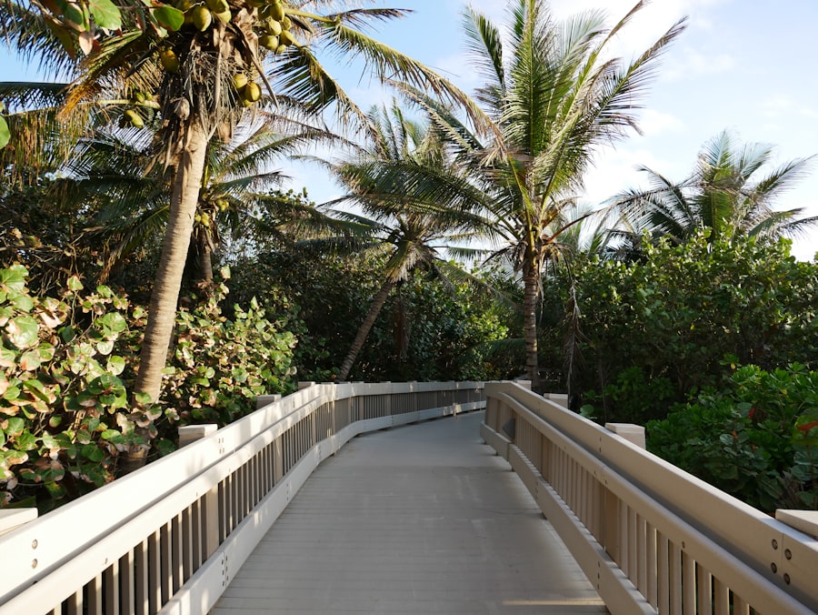 Beach boardwalk