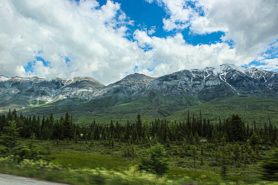 Laguna Beach Fire: Devastation And Recovery 5 Wildfire Aftermath