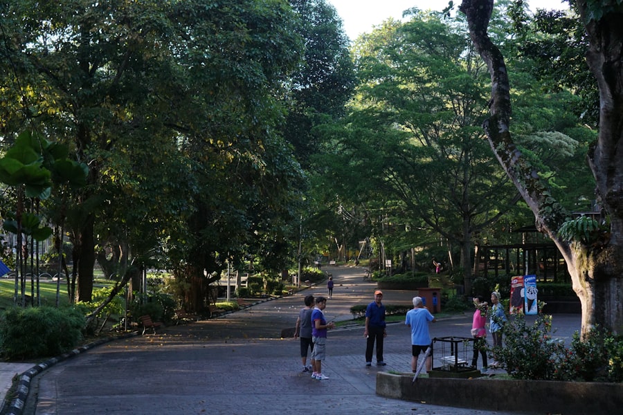 Exploring The History And Beauty Of Macarthur Park 5 Urban Park