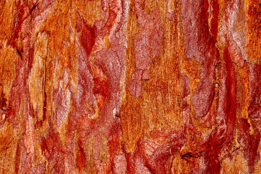 Grilled bacon