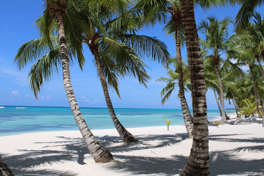 Tropical paradise