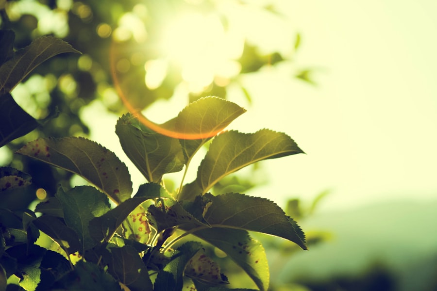Green energy