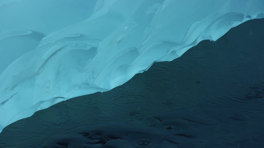 ICE director