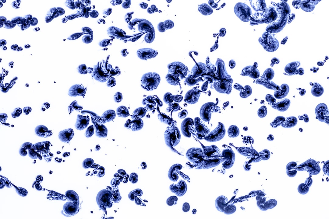 Photo Cell proliferation
