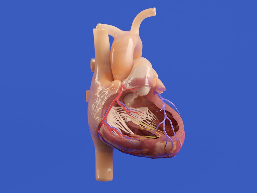 Photo Medical illustration