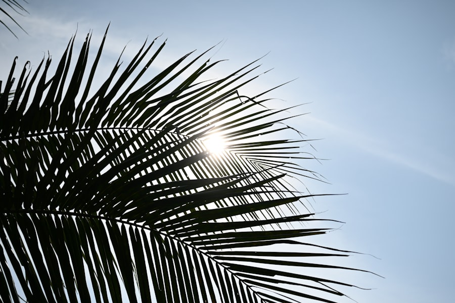 Photo Sunscreen application