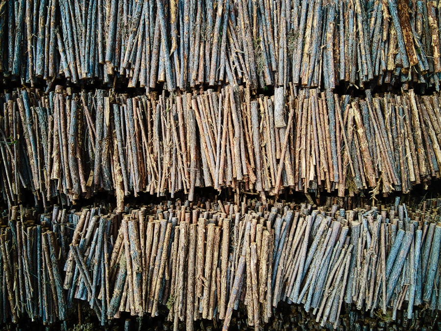 Photo Medical records
