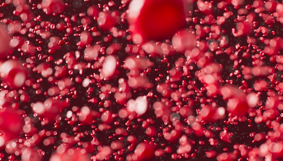 Photo Blood cells