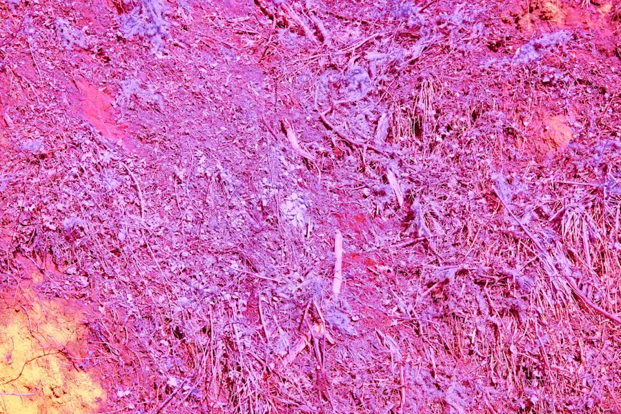 Photo Mammogram result