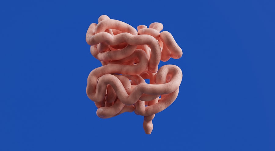 Photo Medical illustration