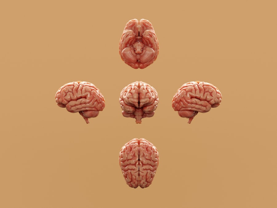 Photo Medical illustration