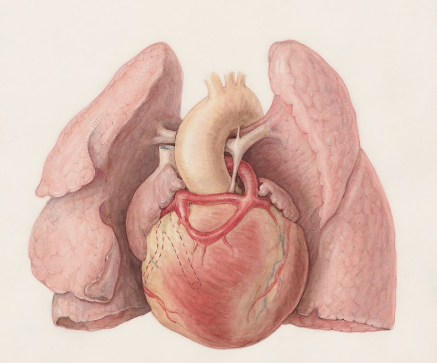 Photo Heart scan