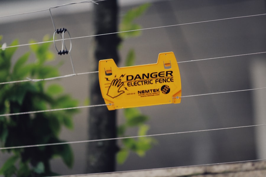 Photo Risk transfer