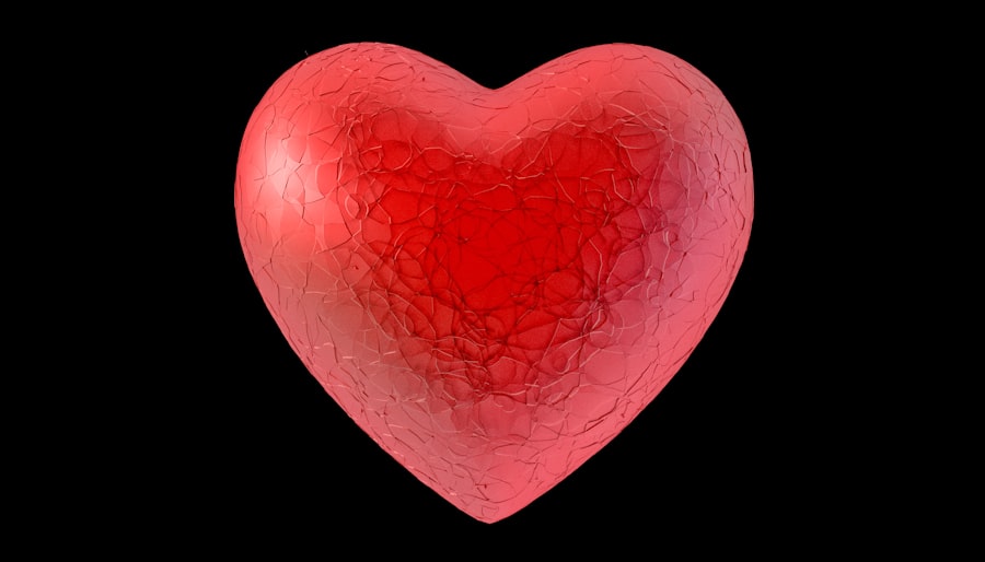 Photo Heart diagram