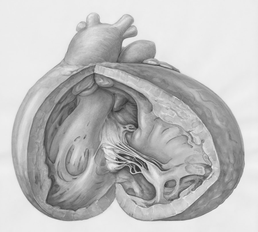 Photo Heart diagram