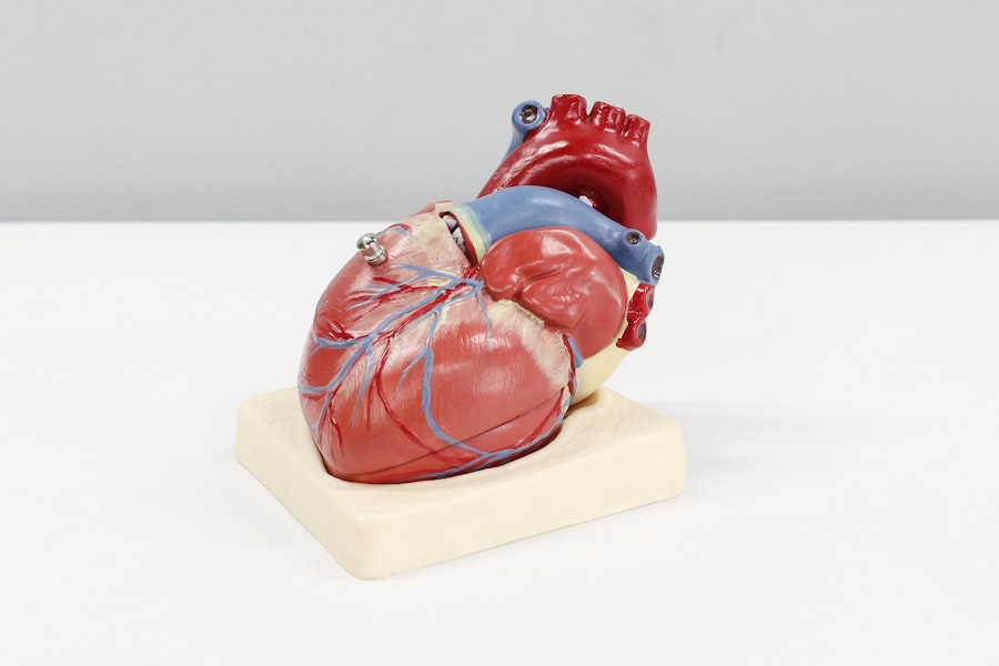 Photo Heart monitor
