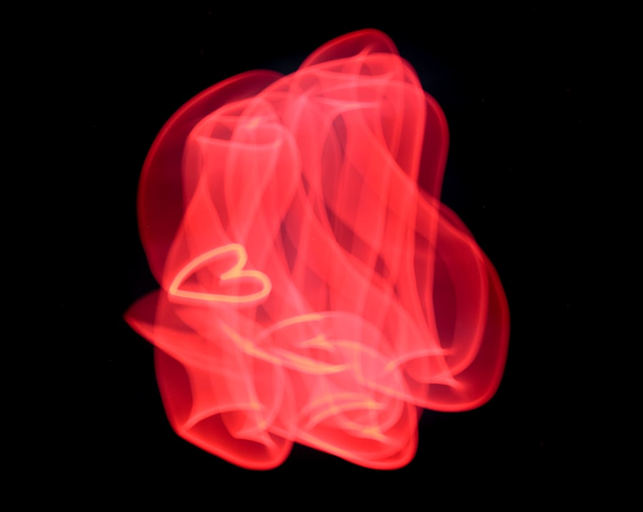 Photo Heart diagram