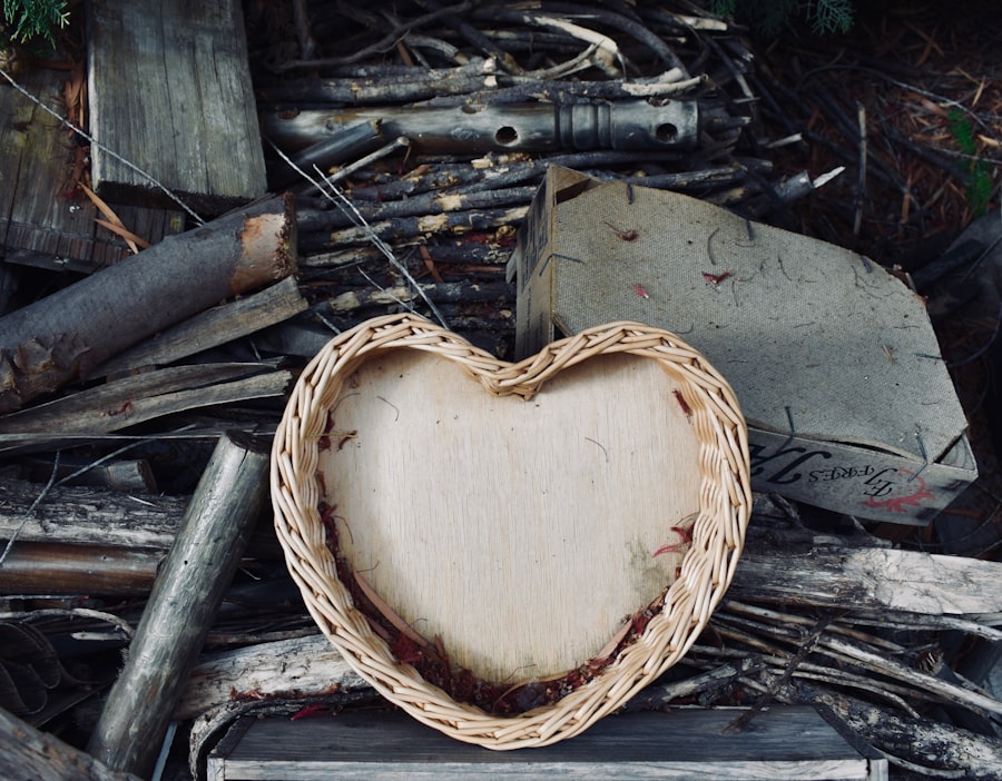 Photo Heart diagram