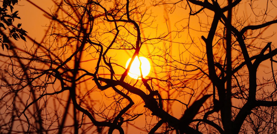 Photo Golden sunset