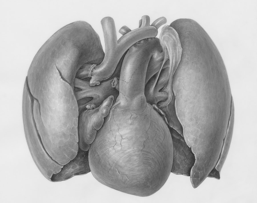 Photo Heart diagram