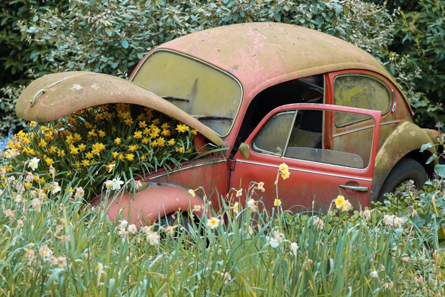 Photo Insurance premium
