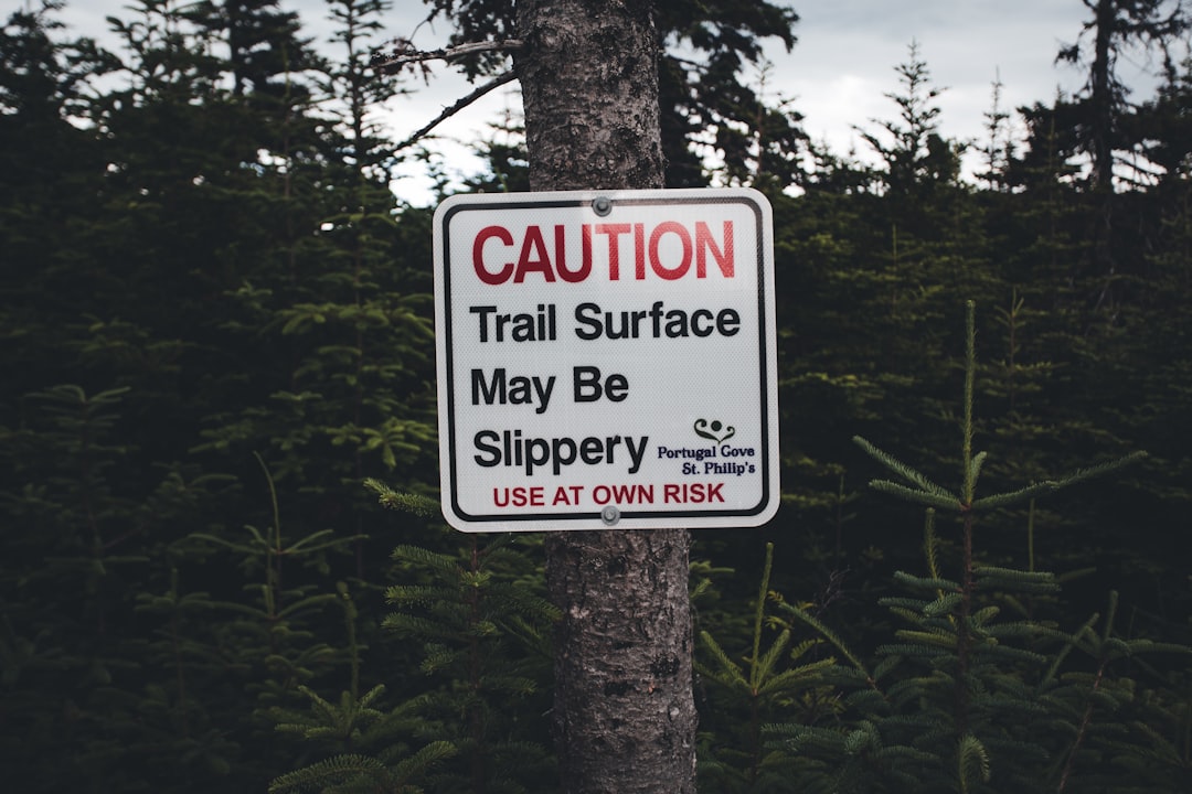 Photo Supplier responsibility