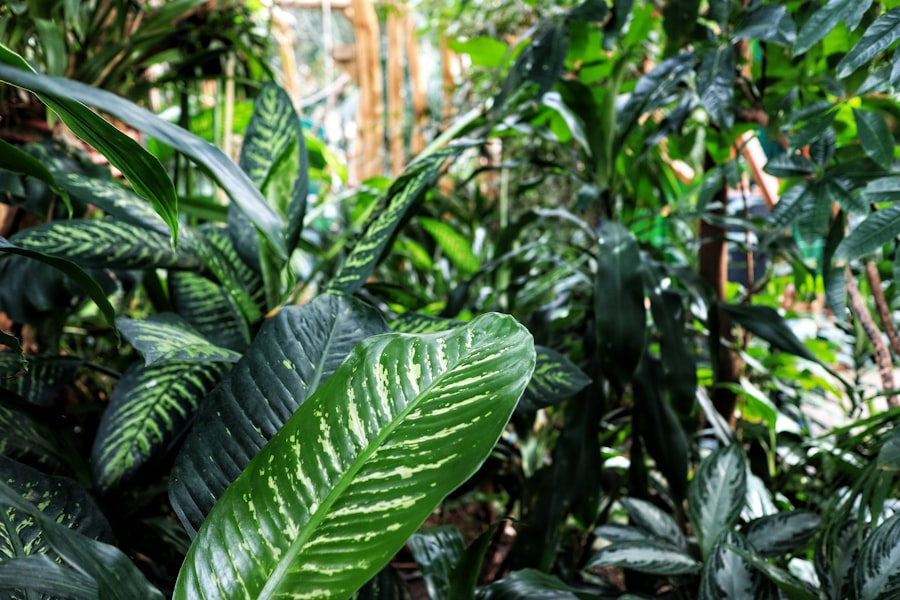 plants vs brainrots codes