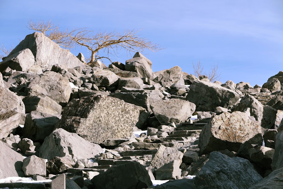 anthropologie rock