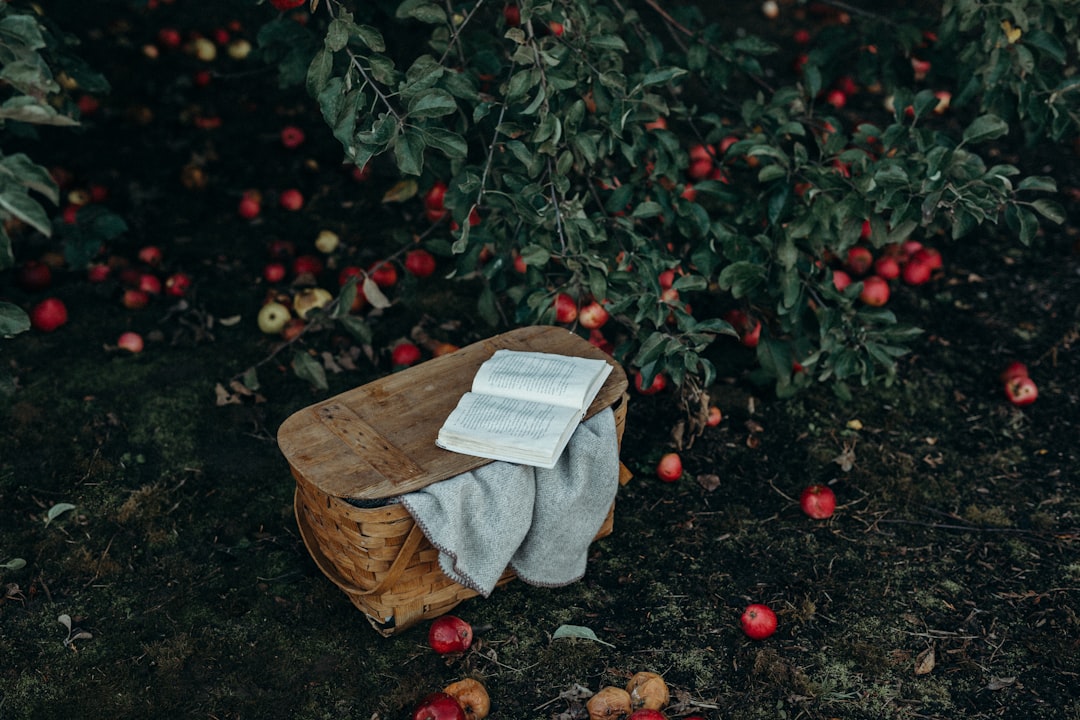 Photo roman wilson