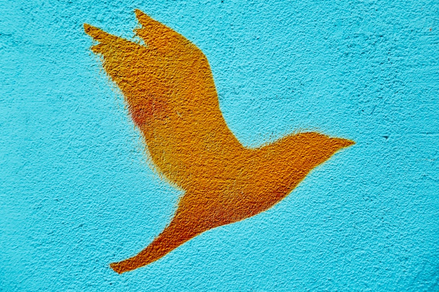 Photo peacemaker