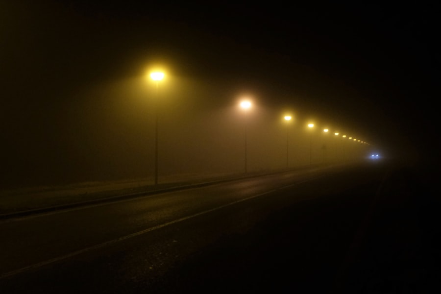 Photo silent hill f