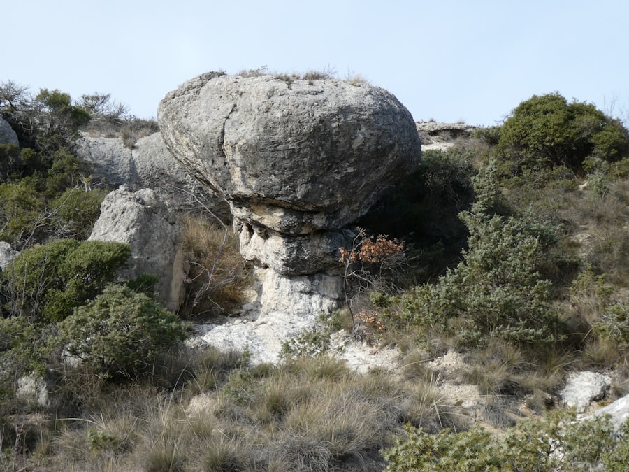Photo anthropologie rock